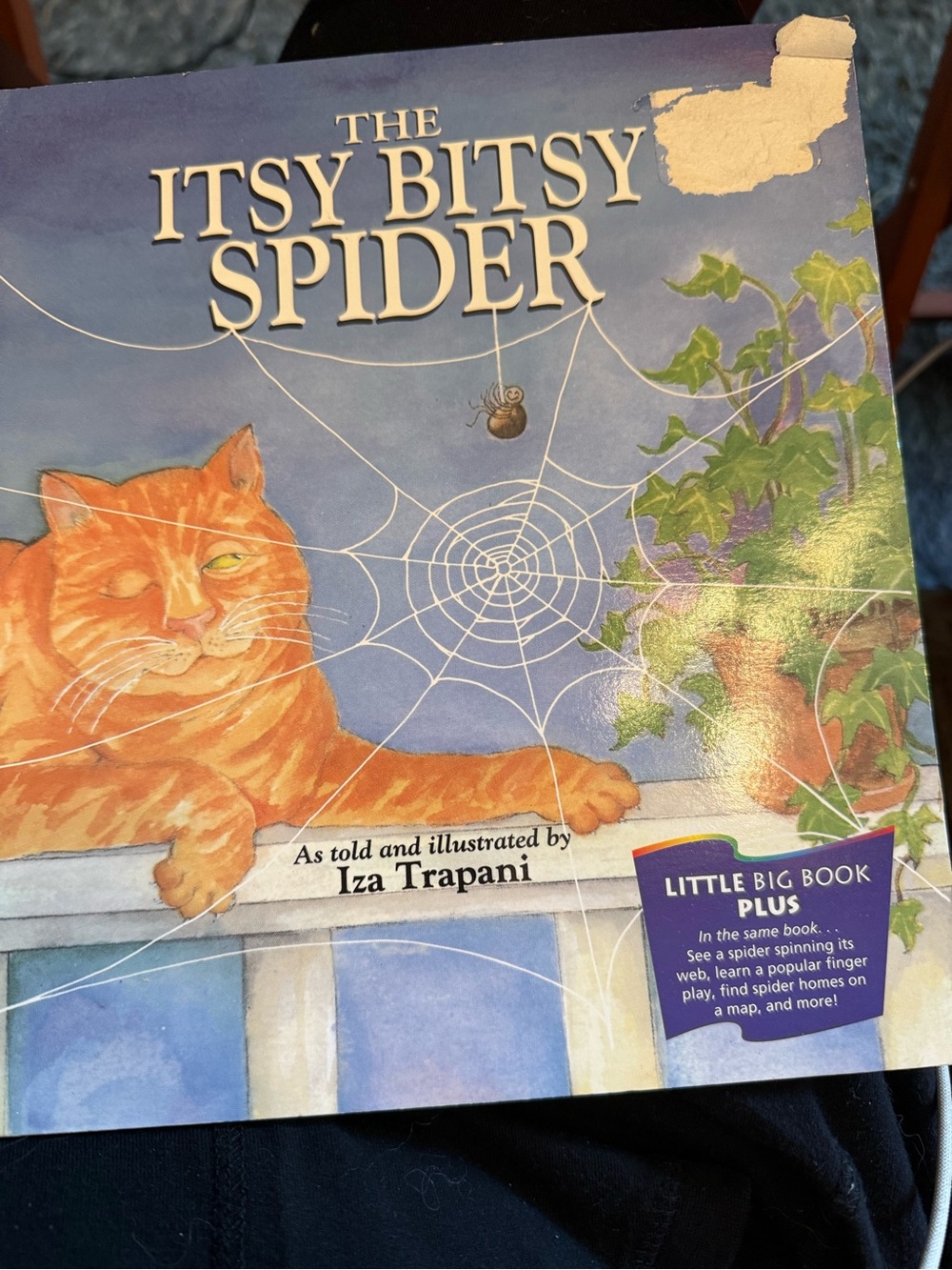 The Itsy Bitsy Spider Picture Children’s Paperback Book